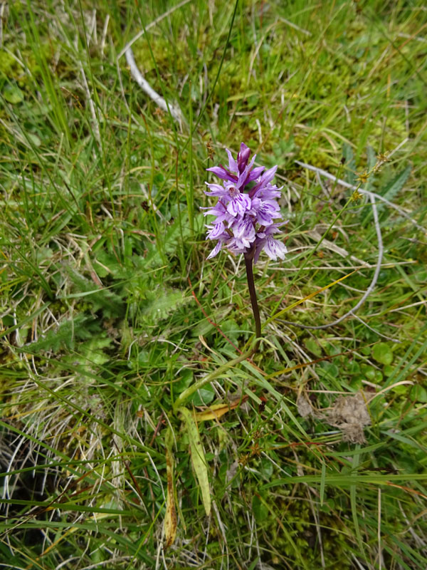 Catena dei Lagorai...da Pergine al Passo del Manghen